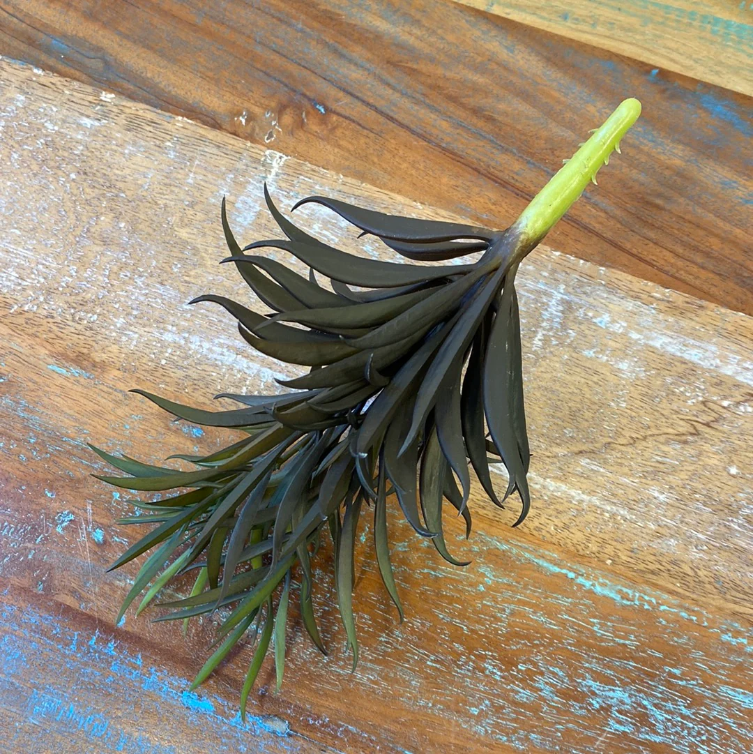 Fink Zweig Echeveria grün-braun Kunststoff - Image 3