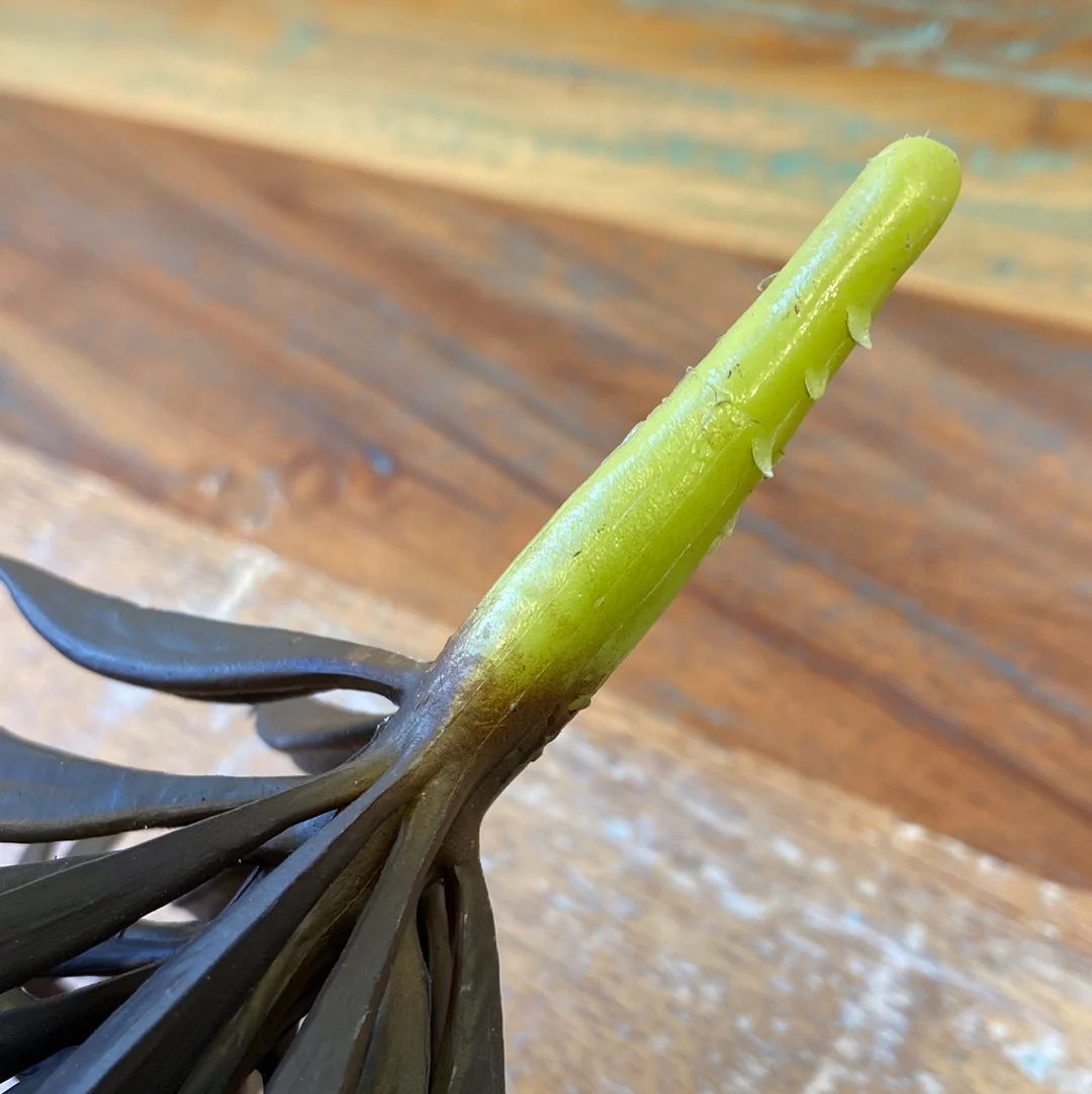 Fink Zweig Echeveria grün-braun Kunststoff - Image 6