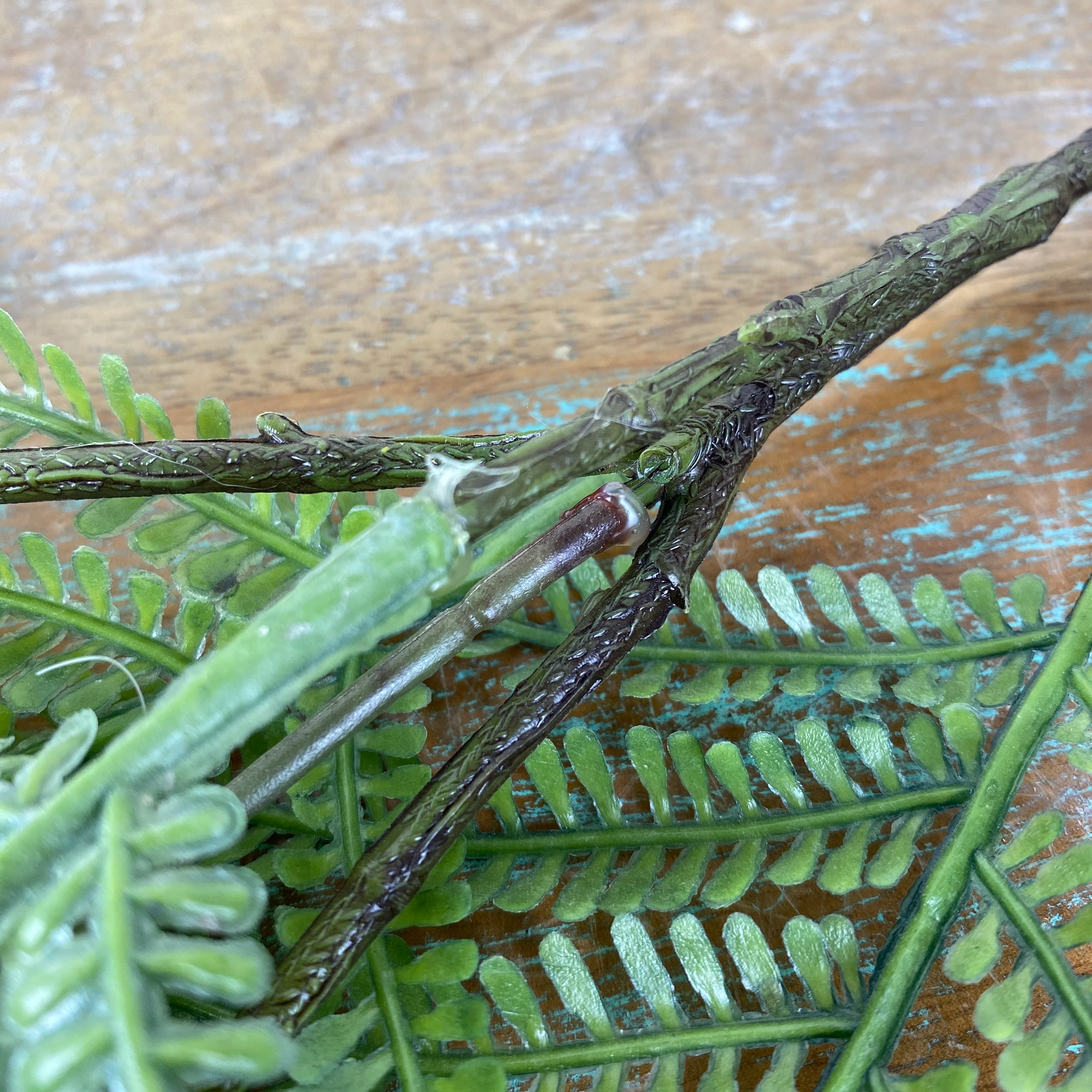 Künstliche Pflanze Mimose grün 80cm Deko - Image 4